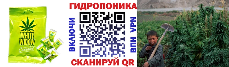 купить наркоту  Щучье  Печенье с ТГК марихуана 