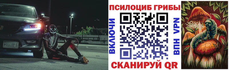 Псилоцибиновые грибы Cubensis  где можно купить   blacksprut рабочий сайт  Щучье 